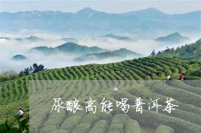 尿酸高能喝普洱茶/2023031714147