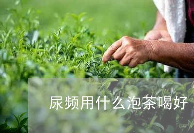 尿频用什么泡茶喝好/2023032015828