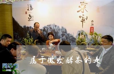 属于微发酵茶的是/2023032536947