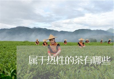 属于热性的茶有哪些/2023032091835