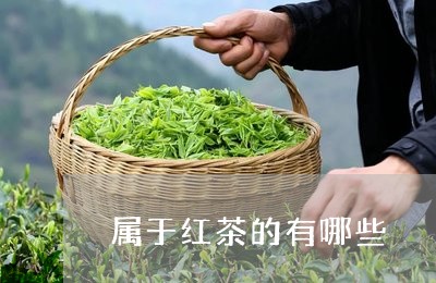 属于红茶的有哪些/2023032435137