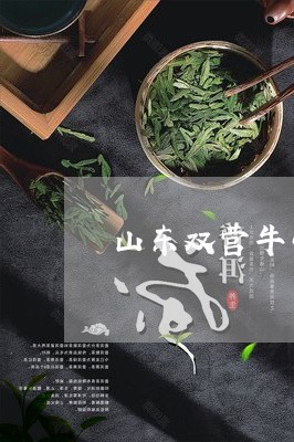 山东双营牛蒡茶价格/2023041720715