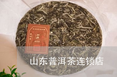 山东普洱茶连锁店/2023040127168