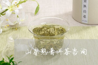 山东熟普洱茶咨询/2023041047261