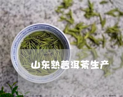 山东熟普洱茶生产/2023031654836