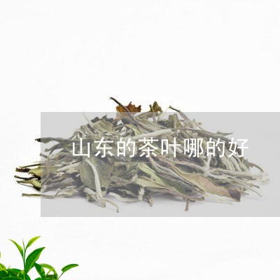 山东的茶叶哪的好/2023032672747