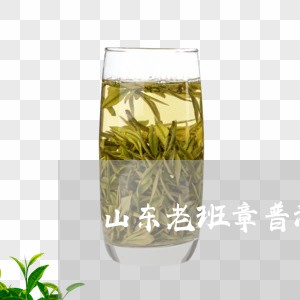 山东老班章普洱茶/2023041279613