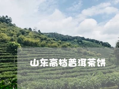 山东高档普洱茶饼/2023031839602