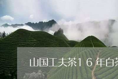 山国工夫茶16年白茶茶饼/2023033139404