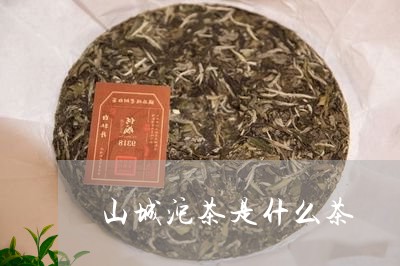 山城沱茶是什么茶/2023032435128