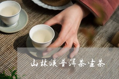 山林溪普洱茶生茶/2023041142716