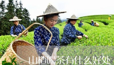 山楂喝茶有什么好处/2023032084948