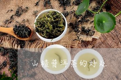 山楂普洱茶的好处/2023041029483