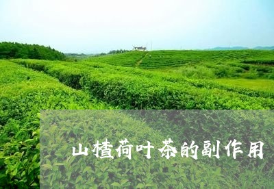 山楂荷叶茶的副作用/2023032171705