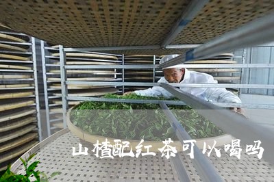 山楂配红茶可以喝吗/2023031993959