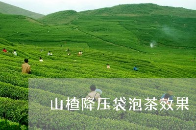 山楂降压袋泡茶效果/2023032033045