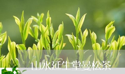 山水延生堂曼松茶/2023032221817