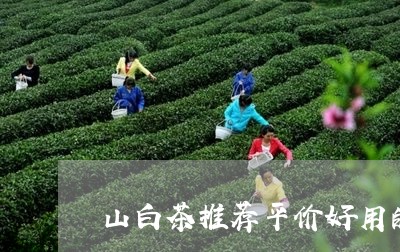 山白茶推荐平价好用的/2023032881484