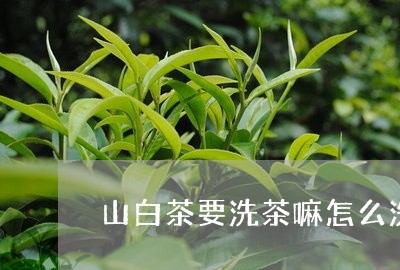 山白茶要洗茶嘛怎么洗/2023032810914