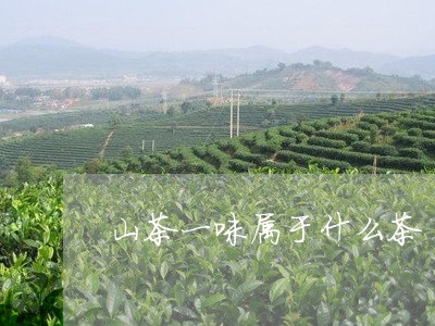 山茶一味属于什么茶/2023041674726