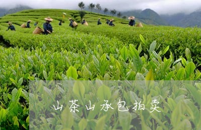 山茶山承包拍卖/2023032063716