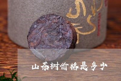 山茶树价格是多少/2023032444937