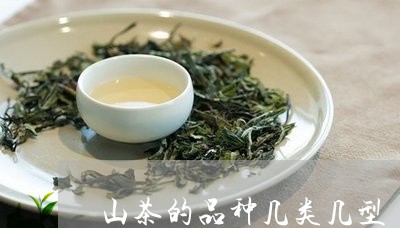 山茶的品种几类几型/2023032101917