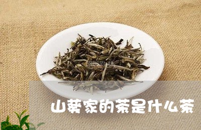 山葵家的茶是什么茶/2023041511726