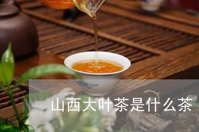 山西大叶茶是什么茶/2023031941694