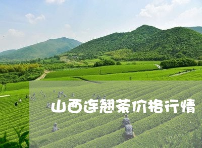 山西连翘茶价格行情/2023041738482