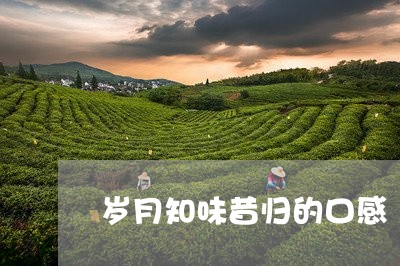 岁月知味昔归的口感/2023041481614