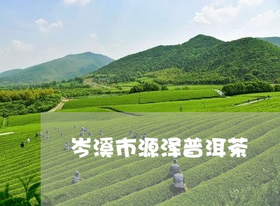 岑溪市源泽普洱茶/2023033026249