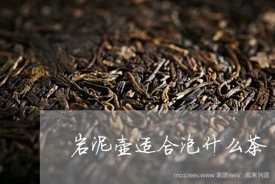 岩泥壶适合泡什么茶/2023041562935