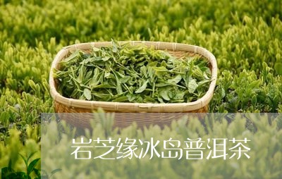 岩芝缘冰岛普洱茶/2023031763837