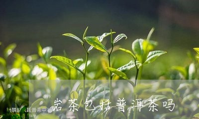 岩茶包括普洱茶吗/2023040970592