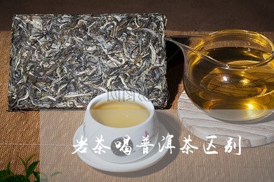 岩茶喝普洱茶区别/2023040930584