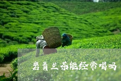 岩青兰茶能经常喝吗/2023041495058