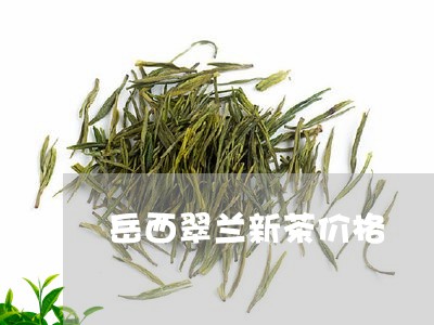 岳西翠兰新茶价格/2023032439616