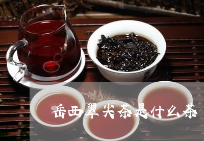 岳西翠尖茶是什么茶/2023041592929