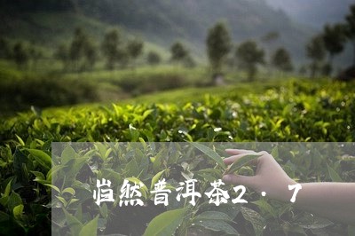 岿然普洱茶2.7/2023041044061