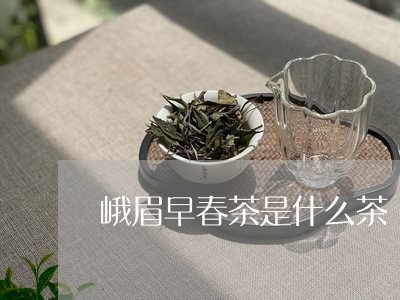 峨眉早春茶是什么茶/2023041530571