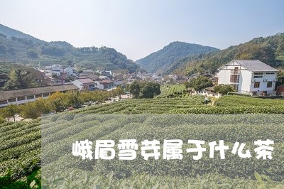 峨眉雪芽属于什么茶/2023031940593