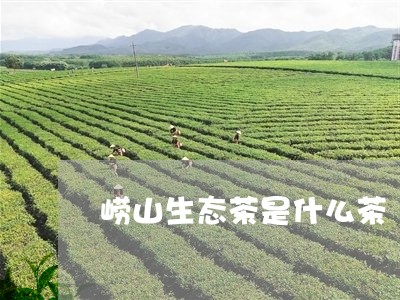 崂山生态茶是什么茶/2023041684926