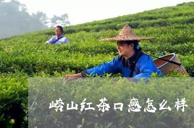 崂山红茶口感怎么样/2023031968572