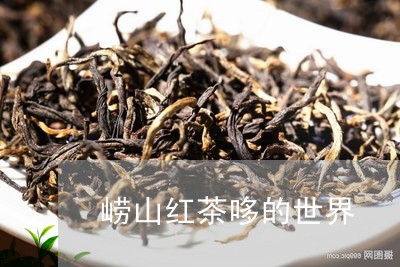 崂山红茶哆的世界/2023032362715