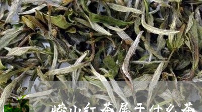 崂山红茶属于什么茶/2023041677049