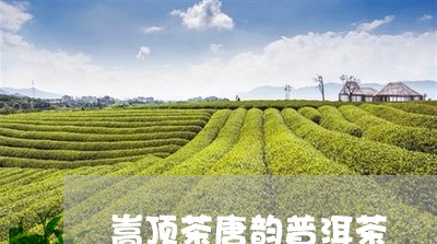 嵩顶茶唐韵普洱茶/2023031694148