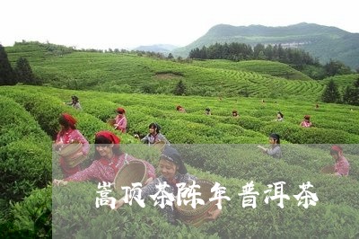 嵩顶茶陈年普洱茶/2023041132947