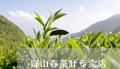 嶷山春茶叶专卖店/2023032692823