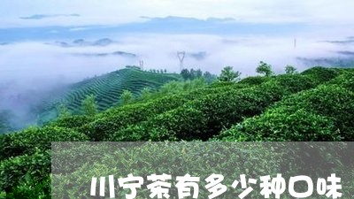 川宁茶有多少种口味/2023032059373